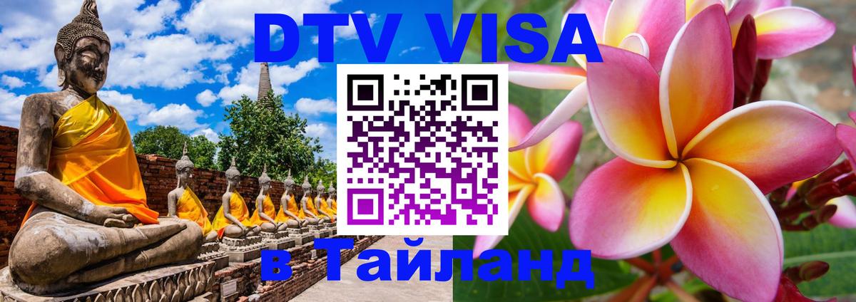 Оформление DTV визы под ключ: стоимость и тарифы, только загранпаспорт - София  04.10.2025 